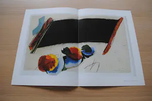 Lei Molin - Bijzondere uitgave met kleurenlitho en handgesigneerde tentoonstellingsaffiche kopen? Bied vanaf 25!