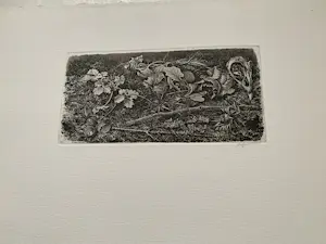 Dirk van Gelder - ets SPIN kopen? Bied vanaf 50!