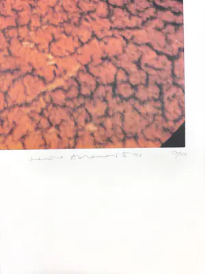 Marina Abramovic - zonder titel kopen? Bied vanaf 259!