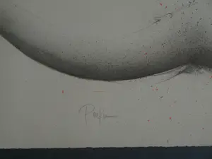 Michael Parkes - Gesigneerde en ingelijste litho ‘Swan King’ + Boek - 1982 kopen? Bied vanaf 400!