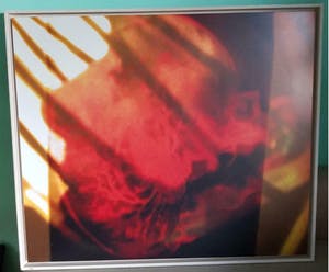 Phil van Wamel - Brainhair I. Mooie grote foto in houten baklijst. kopen? Bied vanaf 1!