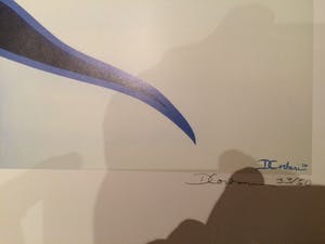 Donna Corbani - Blauw Figuur & Gekleurde Figuren kopen? Bied vanaf 25!