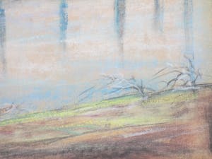 Romke faber - Bosgezicht bij vijver - Pastel kopen? Bied vanaf 70!