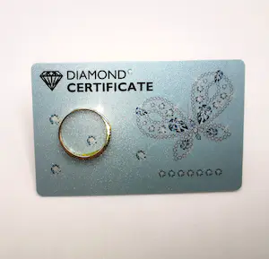 14 Karat gold mit 10 Diamanten 0,46 Karat total kopen? Bied vanaf 275!