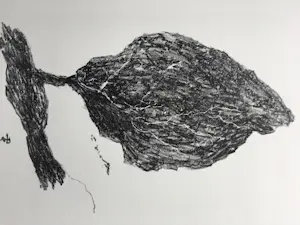 Armando - handgesigneerde litho | 'Das Blatt' | 2010. kopen? Bied vanaf 250!