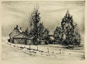 Hans van Dokkum - Dorpsgezicht kopen? Bied vanaf 45!