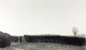 Charles Donker - ets - 'Meidoornhaag' - 1974 verkocht voor € 240!