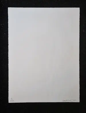 Robert Zandvliet - Grote kleuren-lithografie "Fly-over serie" -zeer beperkte oplage - in nieuwstaat kopen? Bied vanaf 268!