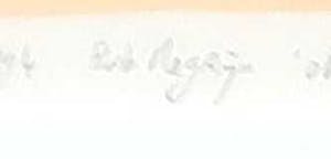 Bob Negryn - Zeefdruk, Zonder titel - Ingelijst kopen? Bied vanaf 1!