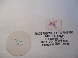 Ari Stolk - Winterlandschap dorpje, molen en vogels kopen? Bied vanaf 30!