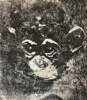 Theo Goedvriend - Aapjes Kijken - zes etsen kopen? Bied vanaf 100!