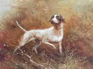 Pieter Dik - Jachthond schrikt fazanten op kopen? Bied vanaf 1250!