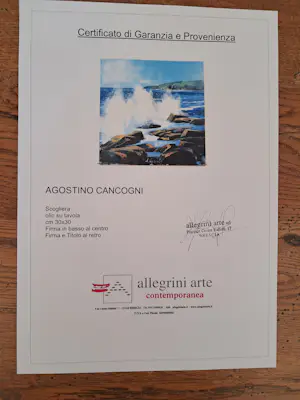 Agostino Cancogni - Scogliera kopen? Bied vanaf 175!