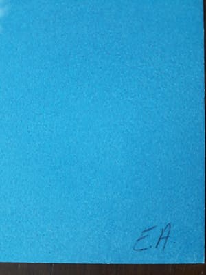 Panamarenko - Flying Tiger 1 kopen? Bied vanaf 675!