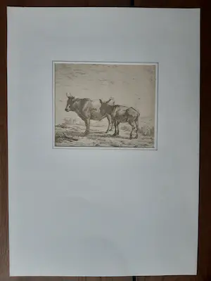 Karel Dujardin - Os en ezel kopen? Bied vanaf 150!