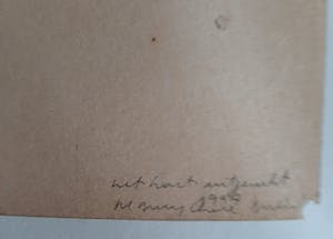 Berlinde De Bruyckere - Alles aanéén genaaid kopen? Bied vanaf 50!