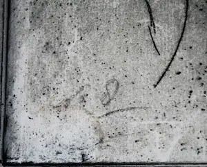 Antoon Derkzen van Angeren - grote ets - Zonnebloemen - mooi ingelijst kopen? Bied vanaf 95!