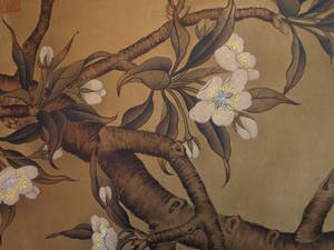 Niet of onleesbaar gesigneerd - Japanse of Chinese scroll, “Vogel op tak” - Aquarelverf en inkt op papier kopen? Bied vanaf 1!