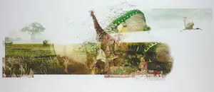 Kim Heesakkers - Foto, Sharing the continent - Ingelijst (Groot) kopen? Bied vanaf 50!