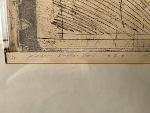 Peter Oosterbos - Home is where the heart is kopen? Bied vanaf 75!