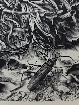 Dirk van Gelder - In memoriam. Natuur. Salamander. kopen? Bied vanaf 49!