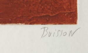 Thierry Buisson - Kleurenets, Petit royaume kopen? Bied vanaf 20!