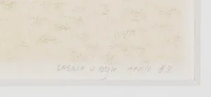 Saskia van Dijk - Litho, De strandwagen kopen? Bied vanaf 40!