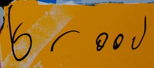 Herman Brood - Grote zeefdruk: voetbal kopen? Bied vanaf 299!