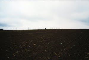 Paul Huf - Foto, Zonder titel - Ingelijst kopen? Bied vanaf 1!