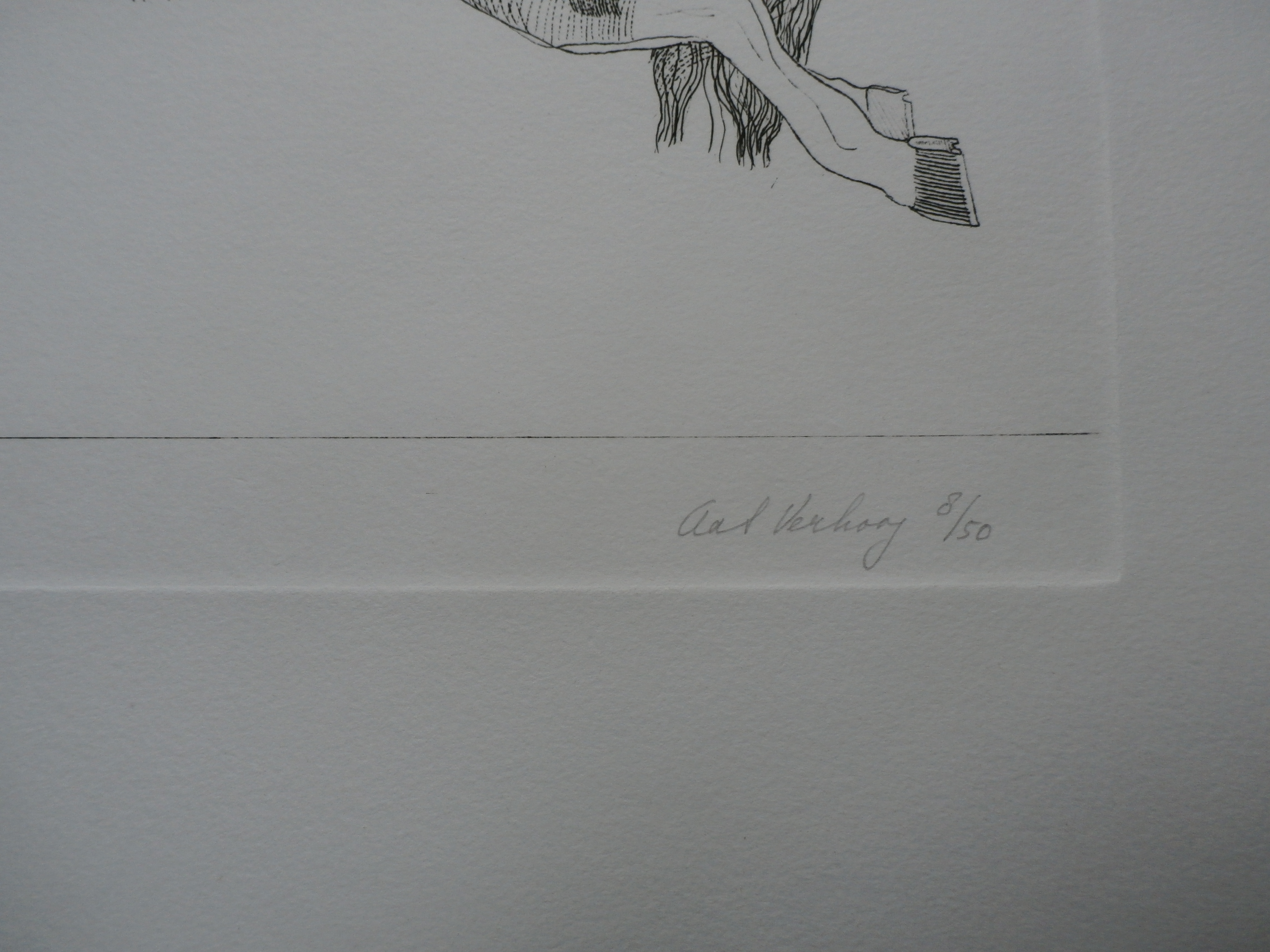 Aat Verhoog - paard - 1971 kopen? Bied vanaf 50!