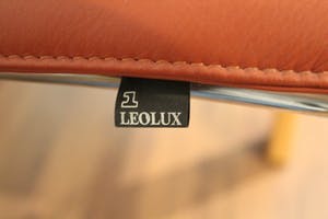 Leolux - twee fauteuils kopen? Bied vanaf 200!