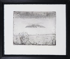 Co Westerik - Ets, Vogel boven water kopen? Bied vanaf 150!