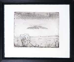 Co Westerik - Ets, Vogel boven water verkocht voor € 150!