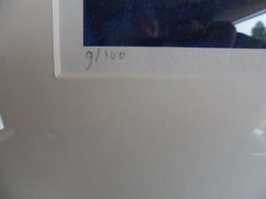 Maya Wildevuur - Zeefdruk. Titel, "Zeehond". kopen? Bied vanaf 80!