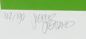 Jasper Oostland - Giclee, Rhacophorus nigropalmatus - Ingelijst (Groot) kopen? Bied vanaf 35!