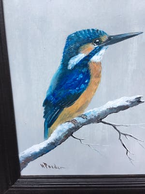 Henk Poeder - Ijsvogel kopen? Bied vanaf 80!