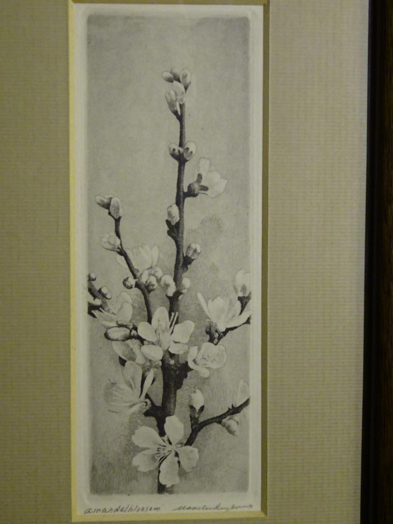 Maarten Langbroek - Amandelbloesem kopen? Bied vanaf 1!