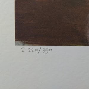 Karin Bos - Appearance / Disappearance kopen? Bied vanaf 15!