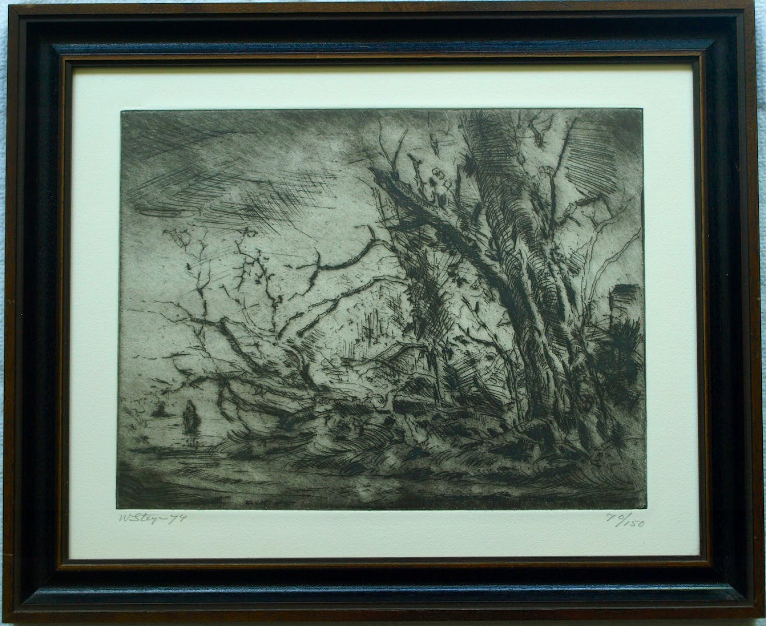 Wim Steijn - Ingelijste ets , Bos bij Haarlem – 1974 – Lijst, 37½ x 45½ cm. verkocht voor € 60!