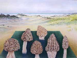 Ank Overweel - Spel met paddestoelen (1) verkocht voor € 65!