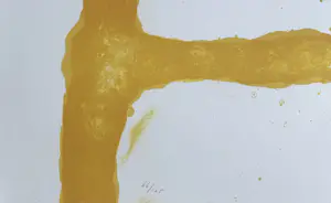 Armando - handgesigneerde kleurenlitho | 'Der Leiter' | 1993 kopen? Bied vanaf 600!