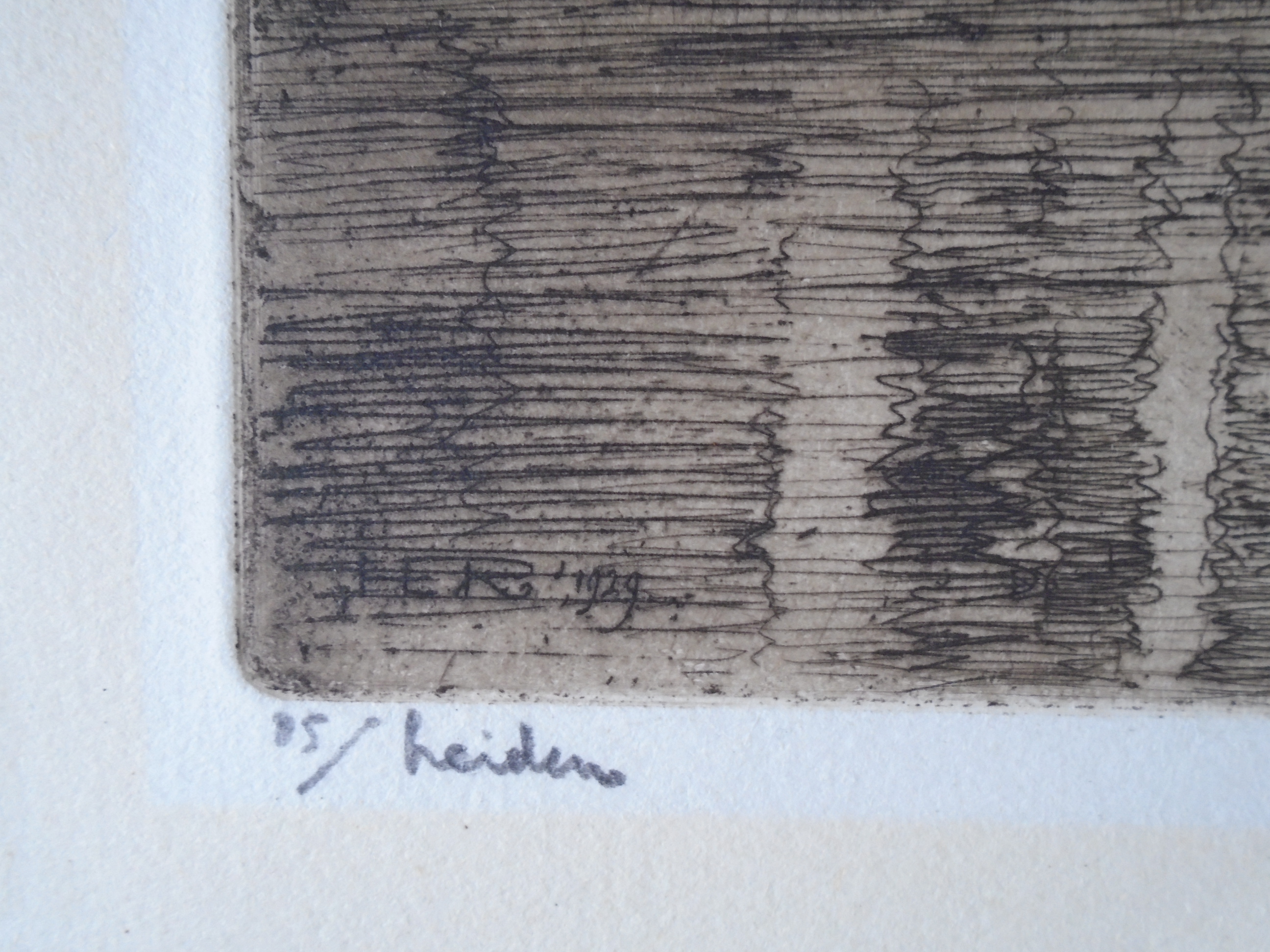 Hendrikus Roodenburg - Joannis Thyssii Bibliotheca, Leiden kopen? Bied vanaf 40!