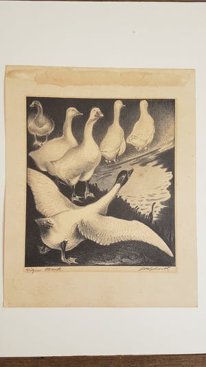 Jan Schonk - Lot van 7 prenten, 5x handgesigneerd kopen? Bied vanaf 150!