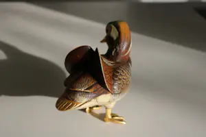 Elli Malevolti - 2 Manderijn eenden kopen? Bied vanaf 100!