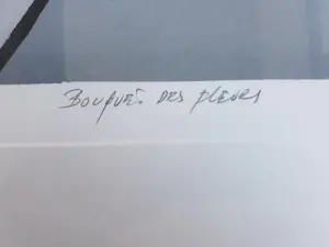 Fon Klement - Bouquet des fleurs kopen? Bied vanaf 1!