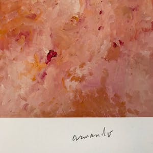 Armando - Gestalt. kopen? Bied vanaf 75!