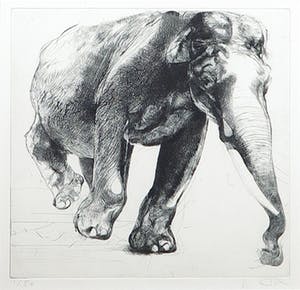 René van Tol - Ets, Olifant 1 - Ingelijst kopen? Bied vanaf 1!