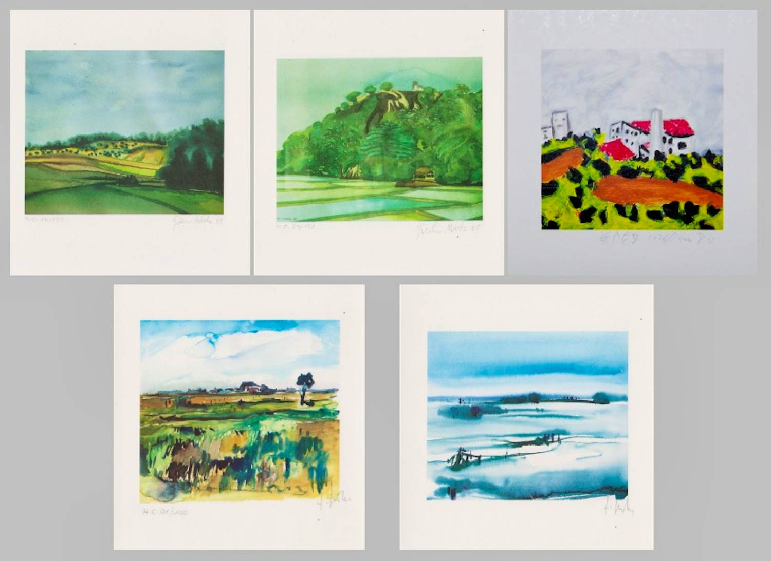 Zaidong Zheng - e.a: vijf handgesigneerde zeefdrukken: Landschappen kopen? Bied vanaf 35!