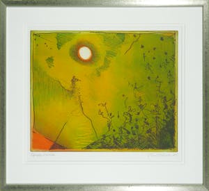 Ronald Tolman - Kleurenets, Eenzame violist - Ingelijst kopen? Bied vanaf 100!