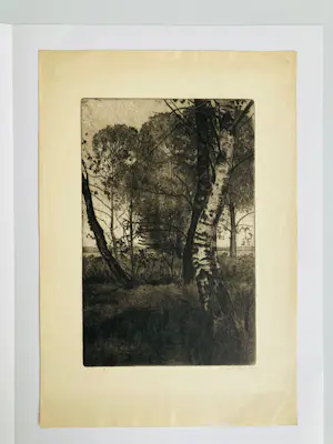 Ton Meyer - Bosje met berkenboom kopen? Bied vanaf 25!